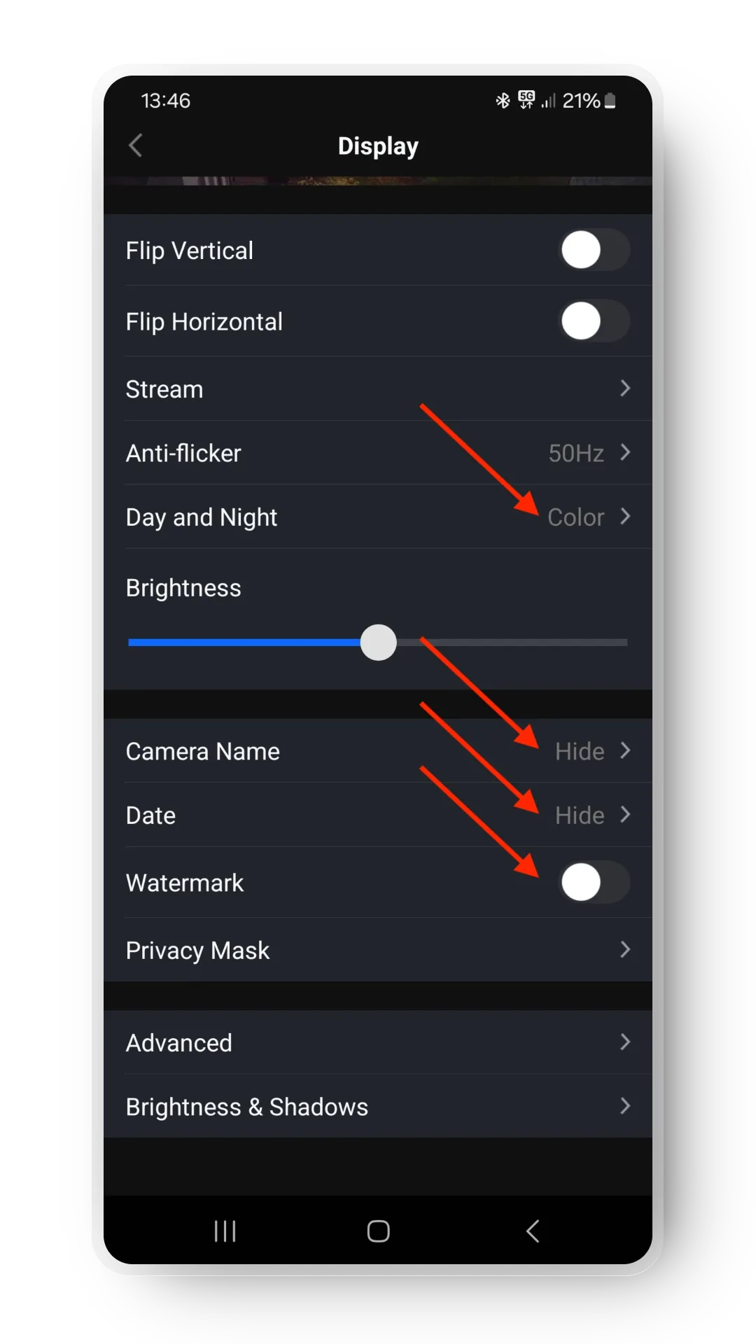 Important display settings in the Reolink app.